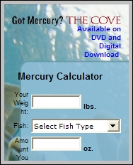 GotMercury.mobi GotMercury.mobi