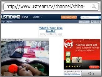 uStream video in Skyfire browser