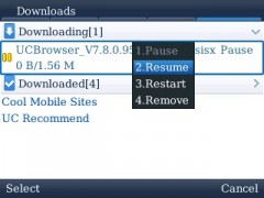 UC Browser for BlackBerry Download Manager 2 UC Browser for BlackBerry Download Manager 2