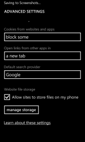 IE10 Mobile - Bottom Half Of Advanced Settings Menu